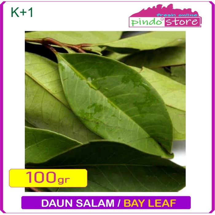 

DAUN SALAM SEGAR DAN BARU / BAY LEAF