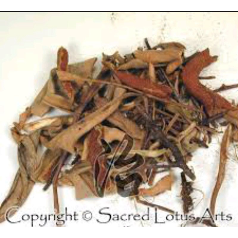 

600 G GR GRAM SHI WEI FOLIUM PYRROSIAE SHEARER'S PYRROSIA LEAF LEAVES