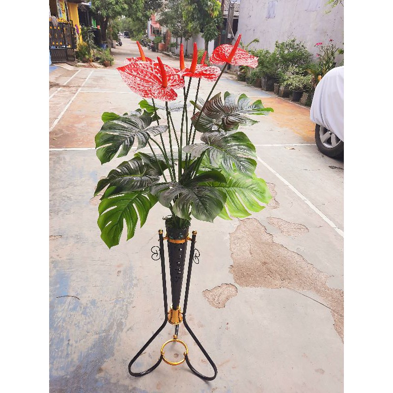 Bunga sudut ruangan pohon monstera latex kombinasi anthurium merah berikut vas standing corong hitam