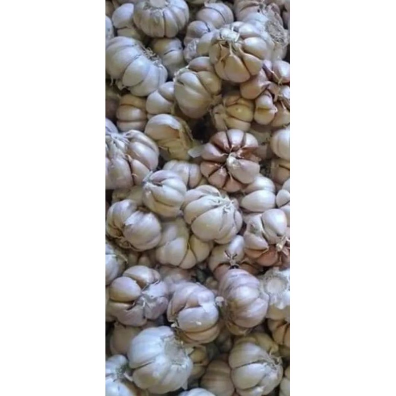 

Bawang Putih 250gr