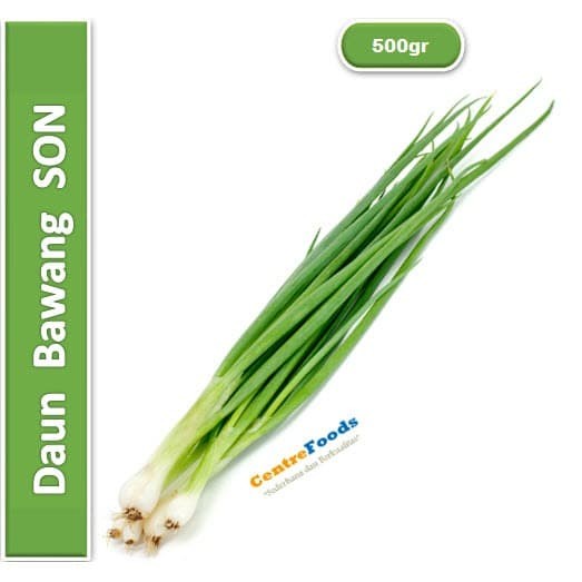 

Daun Bawang SON - Daun Bawang Putih Fresh | 500gr [ Harga Per 0,5 Kg ]
