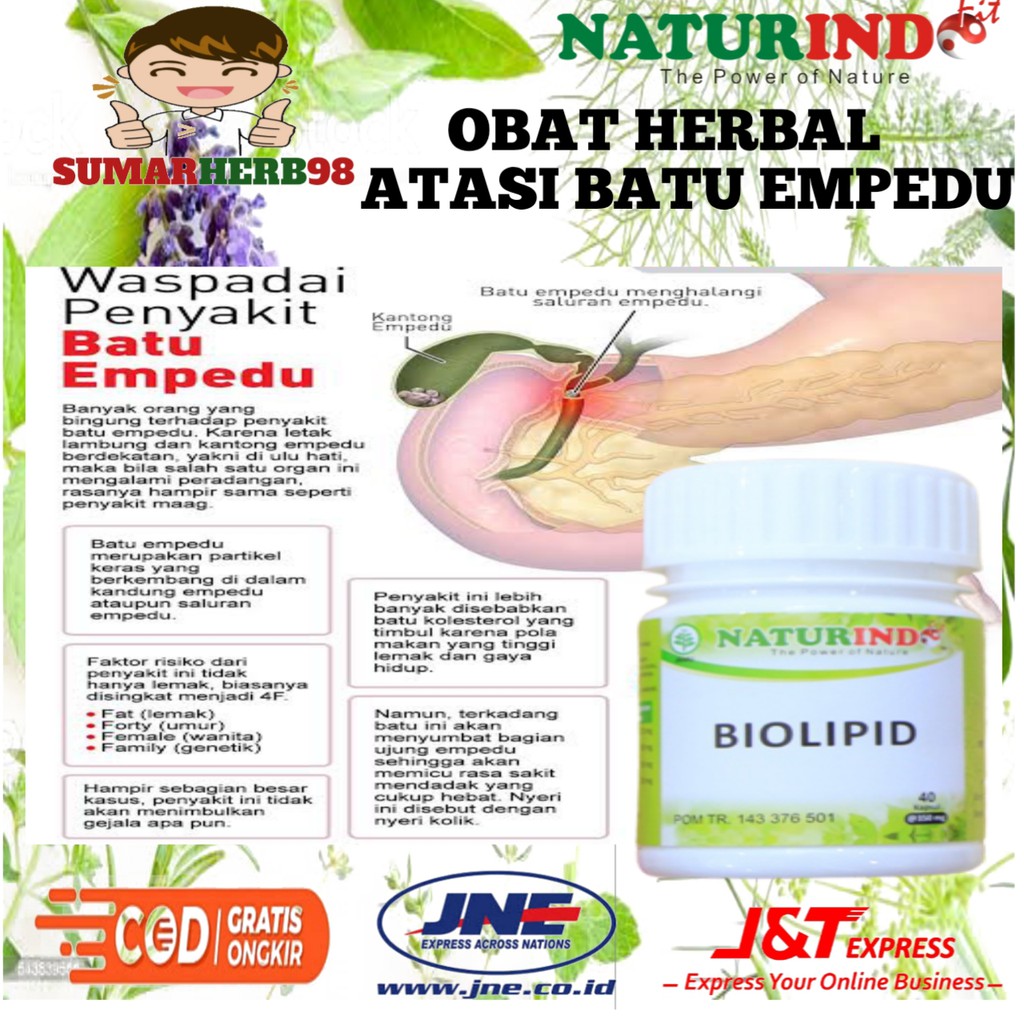 Naturindo Obat Batu Empedu Penghancur Batu Empedu Paling Ampuh Tanpa Operasi Batu Empedu Tanpa Opera