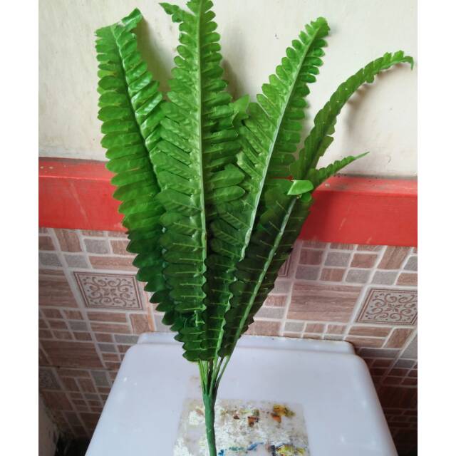 Artificial daun pakis daun pakis palsu daun decorasi