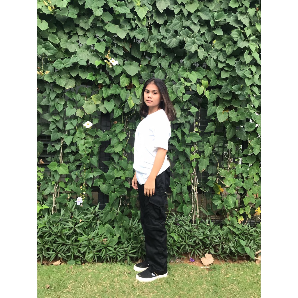 HAMMERSTOUT CARGO ASSEL