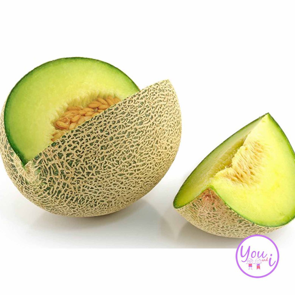 

Melon Hijau Fresh Pasar Murah Bandung