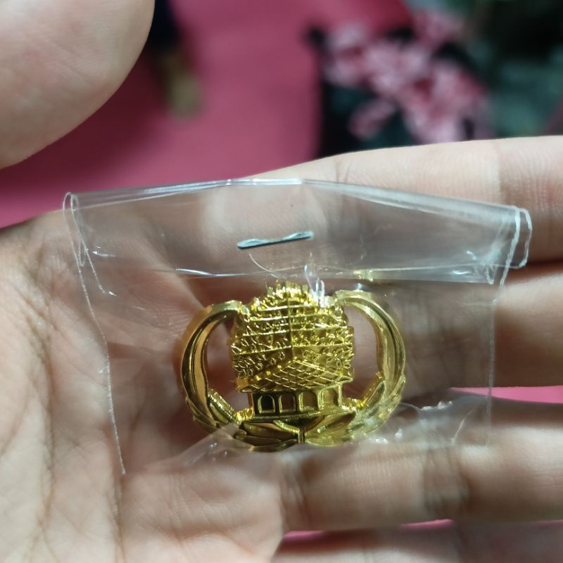 pin kopri pin PNS pin ASN