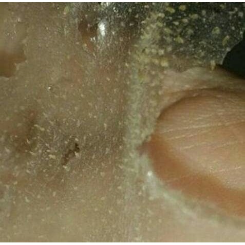 Masker Komedo Gelatin / Gelatine Asli Tulang Sapi Halal