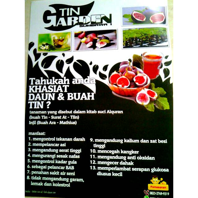 

Teh Tin