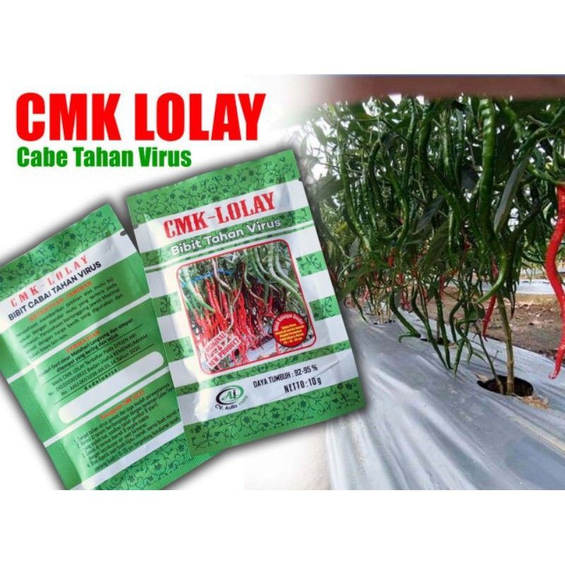 Sale Cabe Kriting Cmk Lolay Unggul Kemasan 10gr Tahan Virus Per Akar an Kuat Tahan Layu Murah Lebay