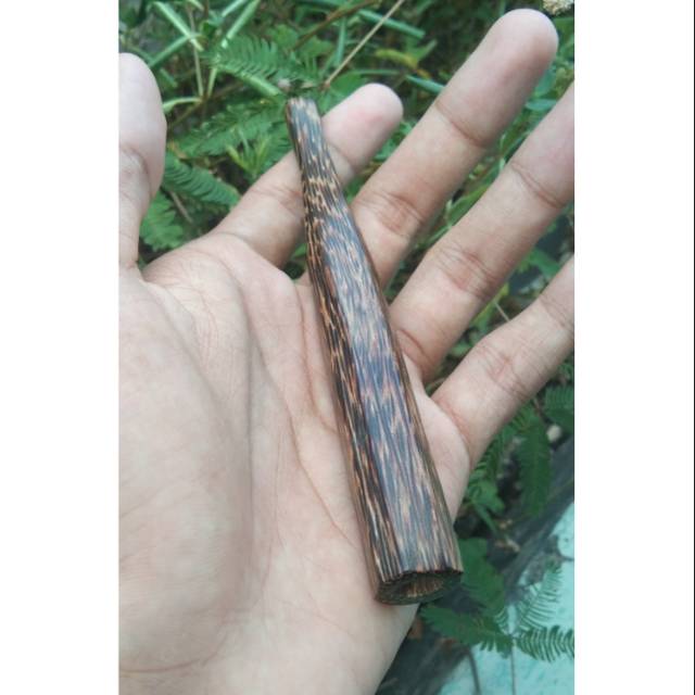 Pipa kayu liwung