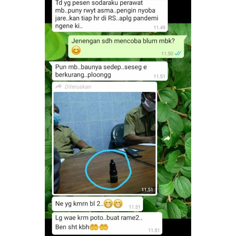 Kayu putih Plus herbal Pelega sesak napas