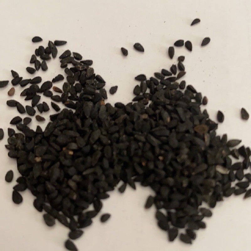 

Jintan Hitam Alias Habbatussauda 50gr