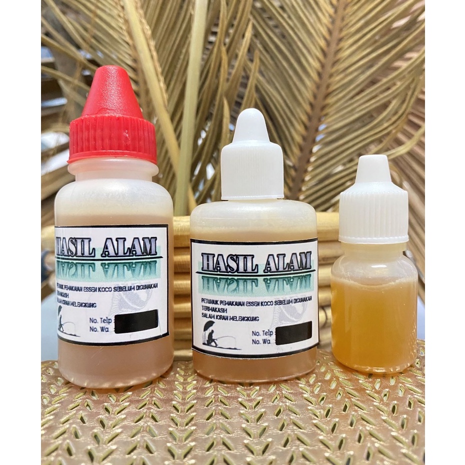 Essen Minyak Bulus Asli asli  murah terbaik paling ampuh jitu gacor terbaik rame babon galatama gala