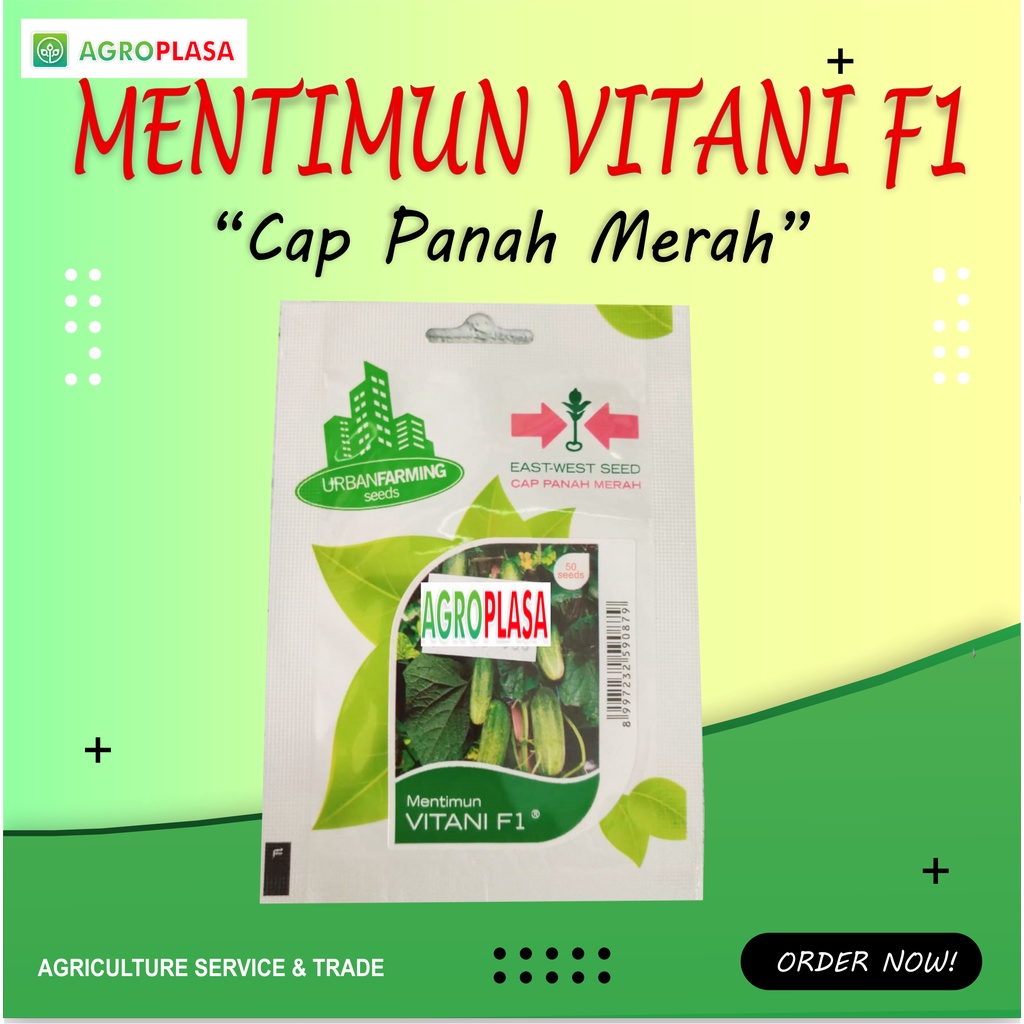 Benih Mentimun VITANI F1 Cap Panah Merah