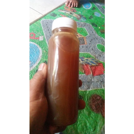 

Madu Klanceng Trigona Teuweul
