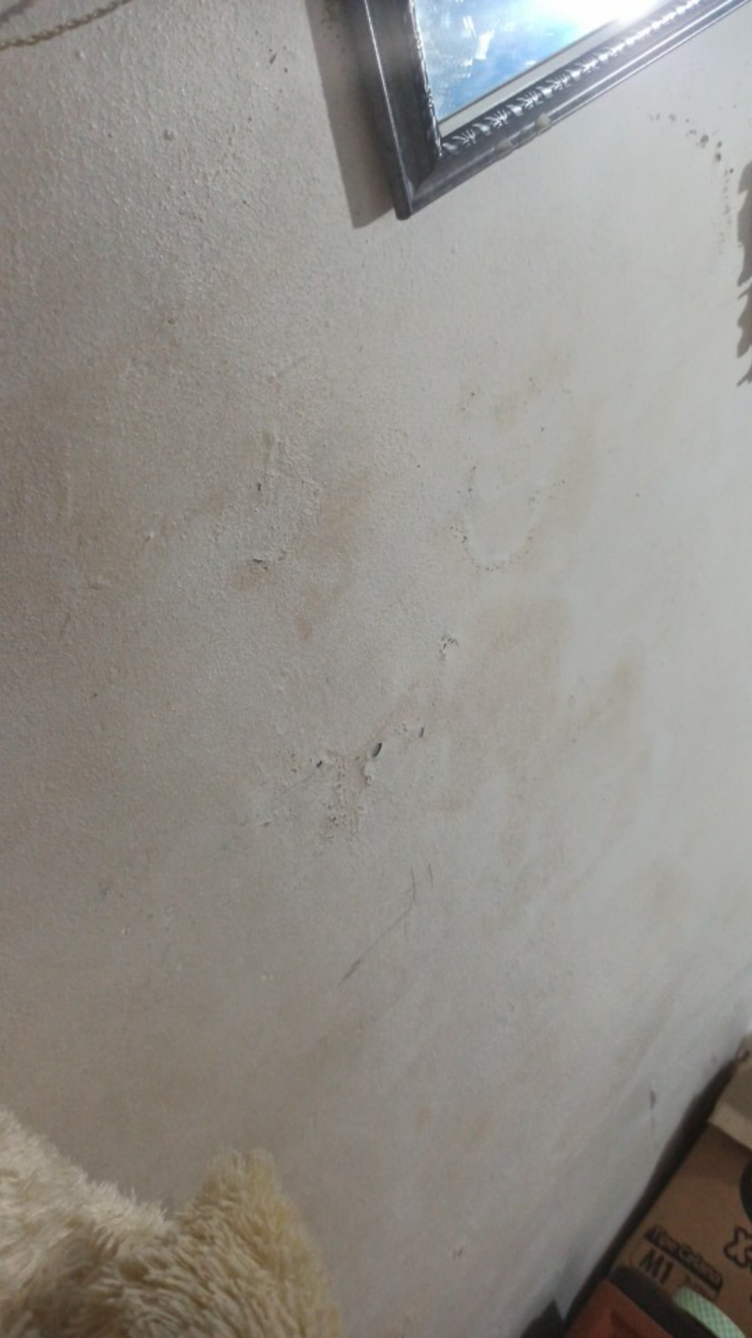 Dettol Pembersih Lantai 30ml