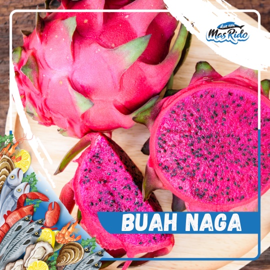 

Buah Naga Merah 1 Buah Manis Segar Fresh Asli Buah Buahan Lokal Kwalitas Super Harga Murah