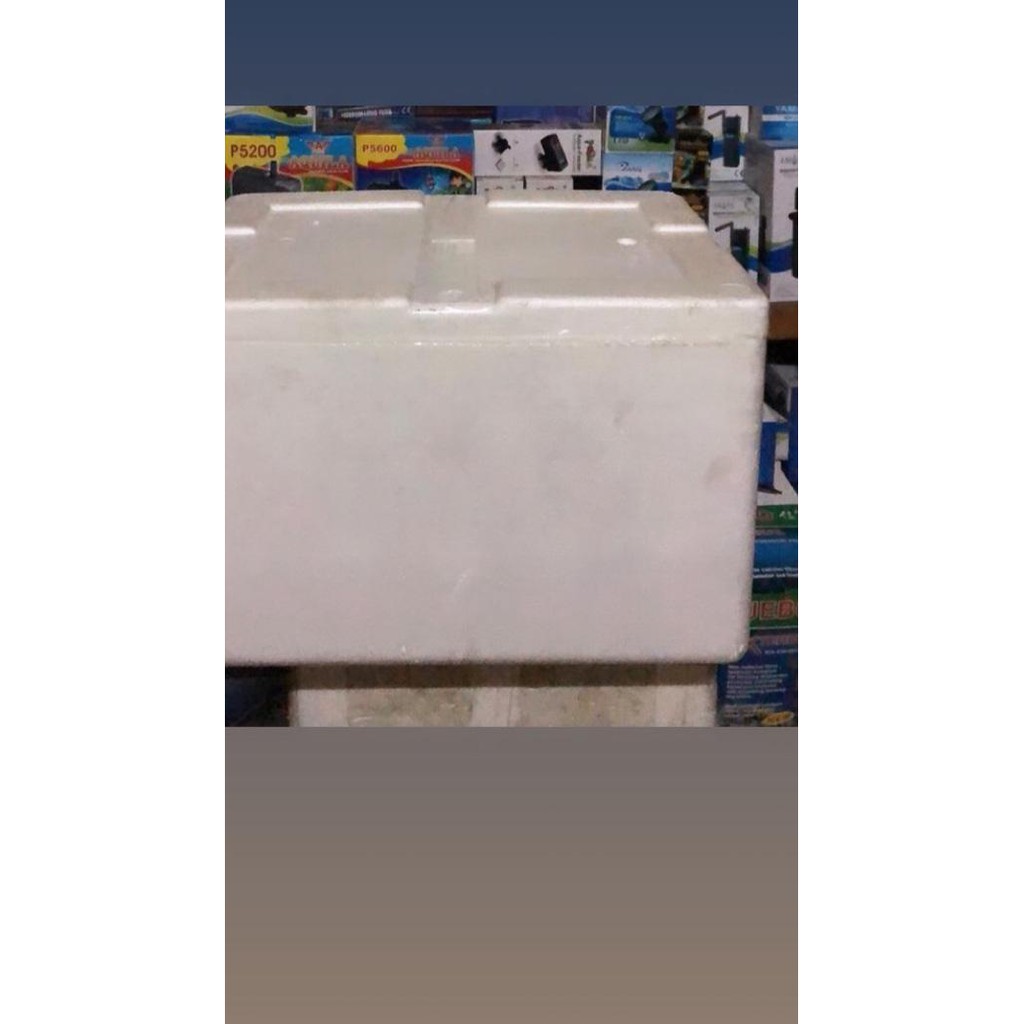 

Model*Baru,, Box Sterofoam Bekas 52 x 48 x 34 cm GRAB GOSEND SAJA ! *O*