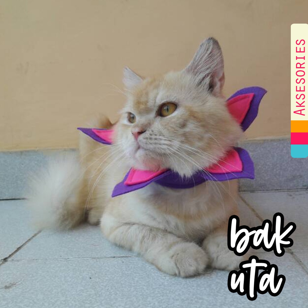 Collar hias untuk kucing &amp; anjing /Jual Baju Kucing Terlengkap &amp; Berkualitas size S-XL