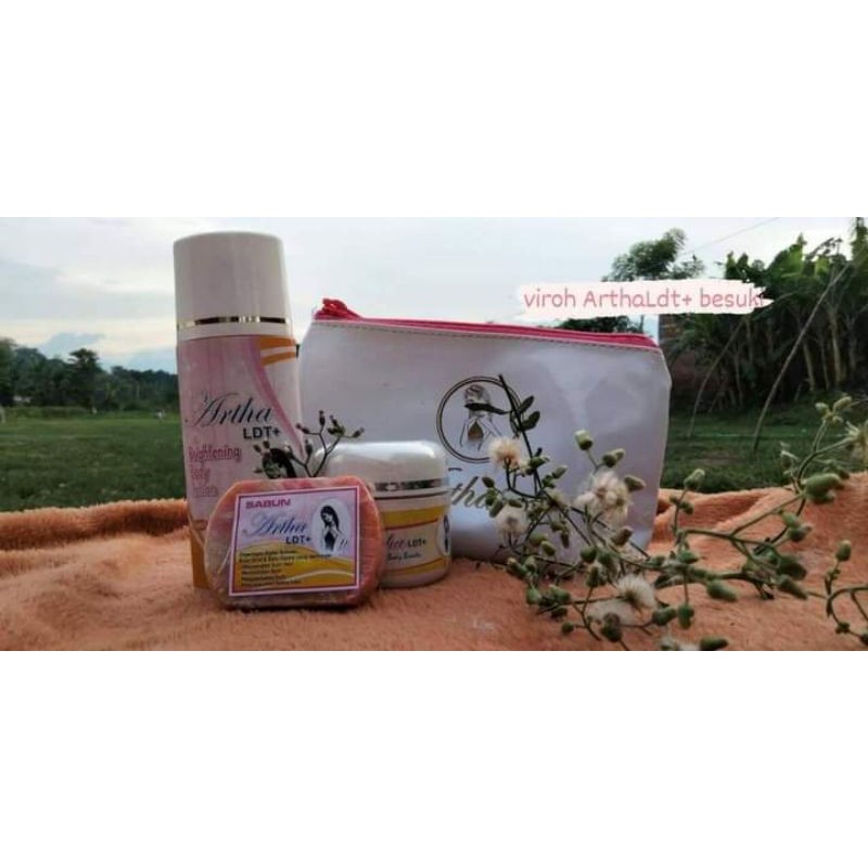 artha ldt