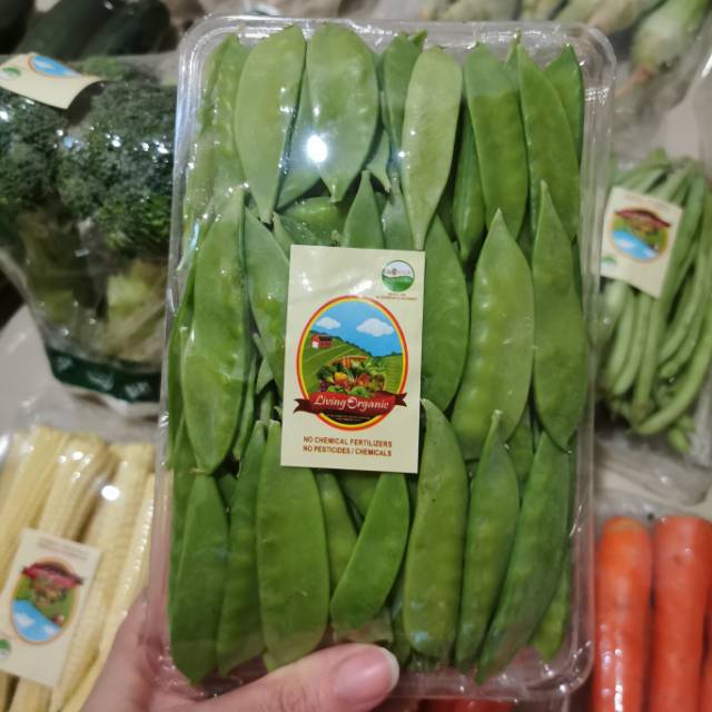 

Kapri Muda Organik || 200gr || Snowed Peas Organic
