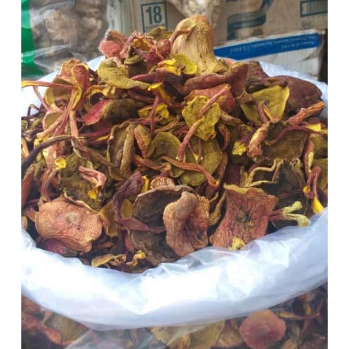 

kulatpelawanbangka
