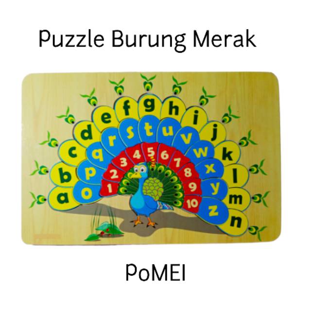 76 Gambar Burung Merak Anak Sd Gratis