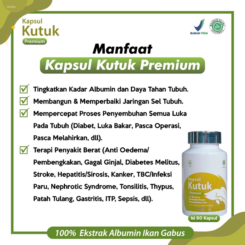 Original Kapsul Kutuk Premium 5x Cepat Sembuh Pasca Operasi Diabetes - Ekstrak Albumin Ikan Gabus Tingkatkan Daya Tahan Tubuh Perbaiki Gizi Buruk