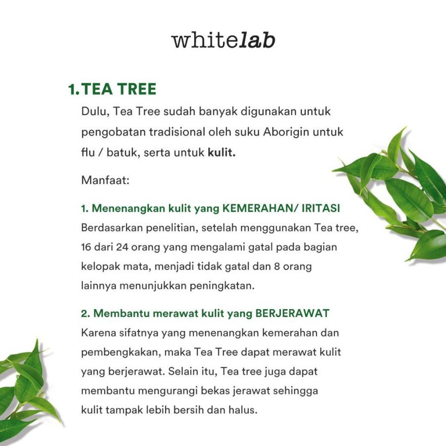 Serum Jerawat Whitelab Acne Calming Tea Tree Cicaa Hexamidine Wajah