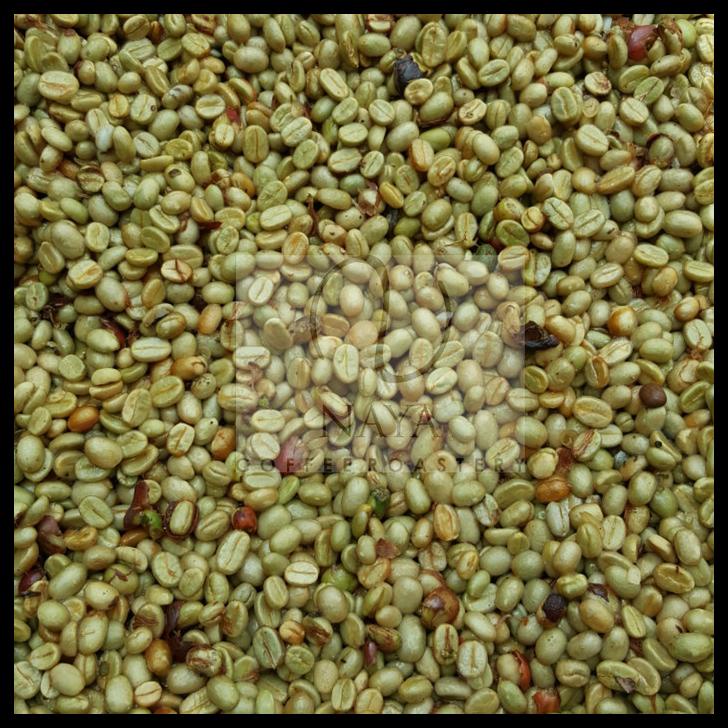 

DISKON TERBATAS !!! GREENBEAN/ BIJI KOPI ARABICA KINTAMANI BALI FULLWASH TERLARIS