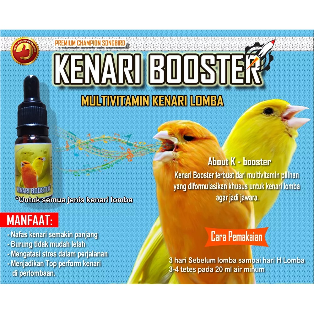 12+ Burung k terbaru