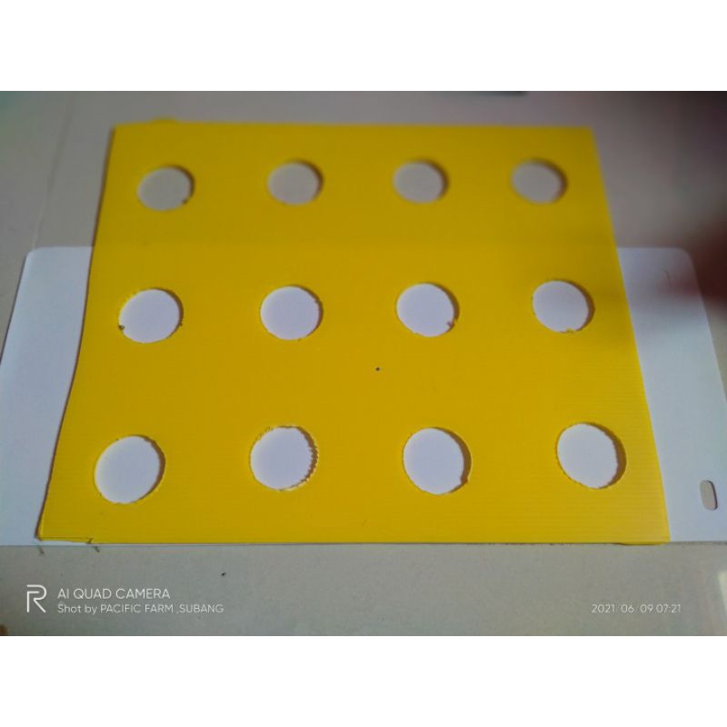 baki hidroponik plus impraboard 12 lubang