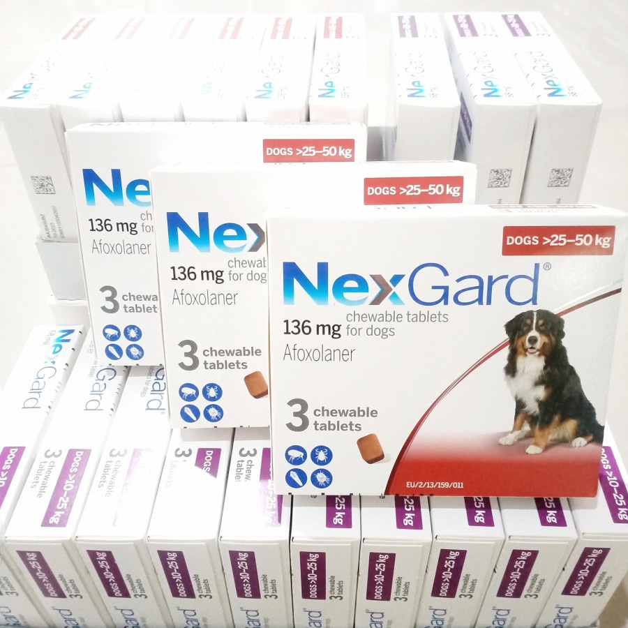 NEXGARD DOG SIZE EXTRA LARGE 25-50 KG / OBAT KUTU DEMODEX ANJING 1 BOX
