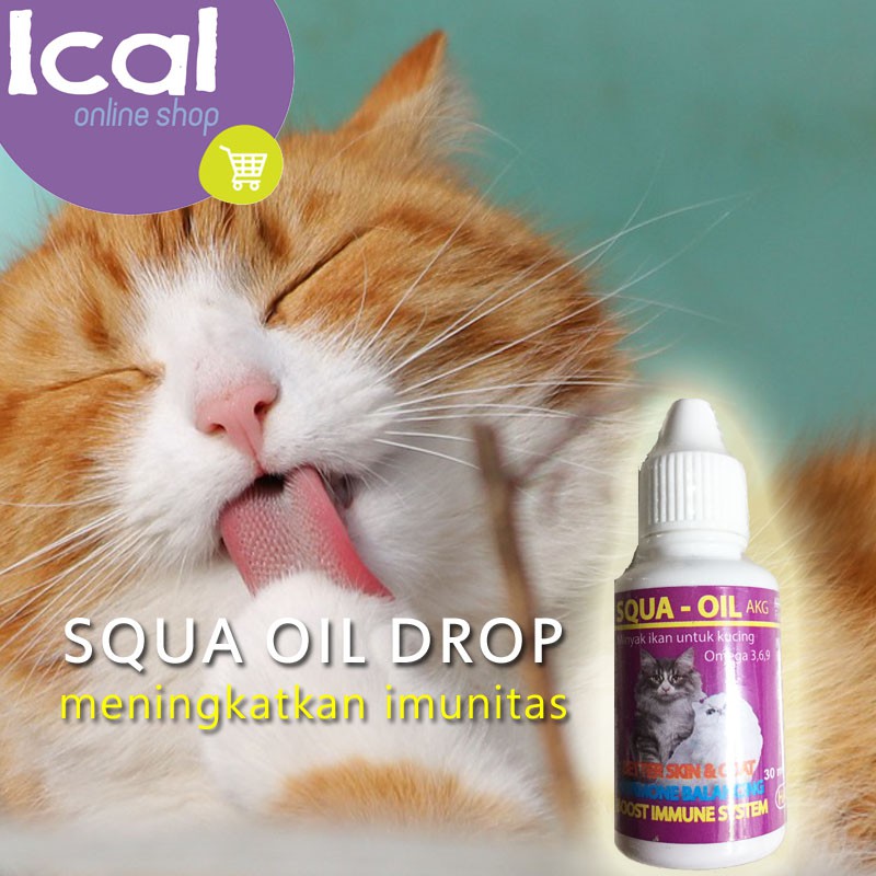 Vitamin Kucing Squa Oil Drop Minyak Ikan Tingkatkan Imunitas Shopee Indonesia