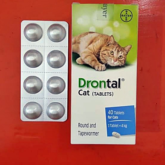 DRONTAL CAT Asli Original Obat Cacing Kucing Anak Kitten Ampuh Murah Tablet Ori Stop Worm Untuk Cats Dewasa Kiten Cacingan