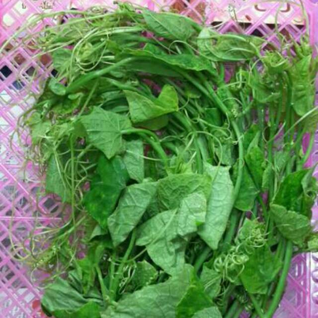 

PUCUK LABU Organic /pck(~250g)