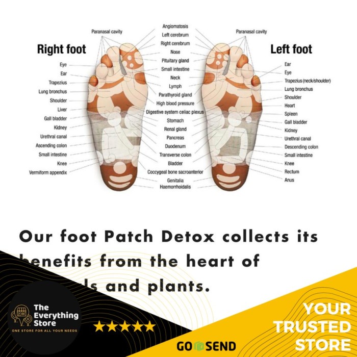 BERKUALITAS Detoxipatch The Real Detox Foot Cure - Detoxify your Body While Sleep