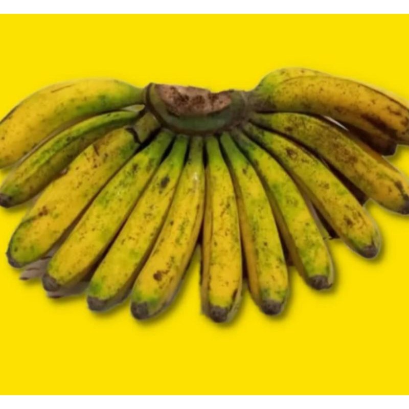 

Pisang barangan asli medan