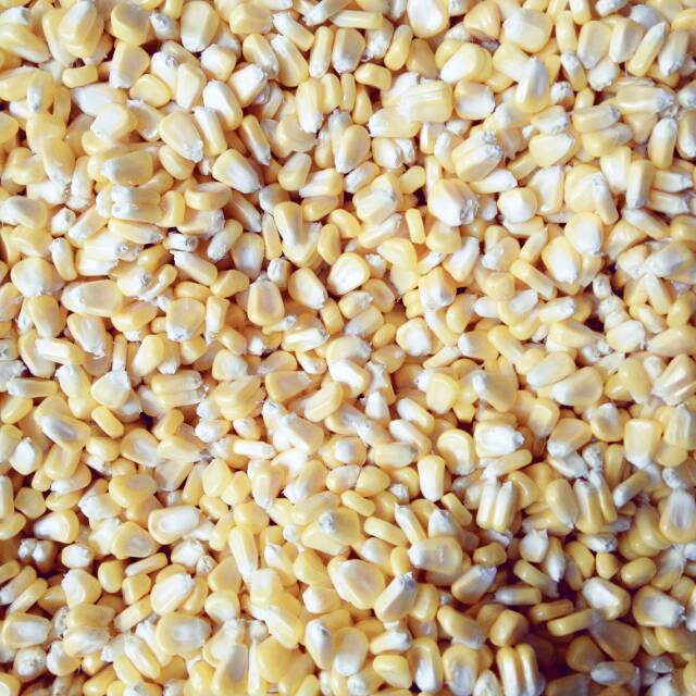

Jagung manis pipilan/Sweet Corn