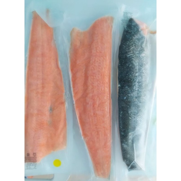 

Ikan Salmon
