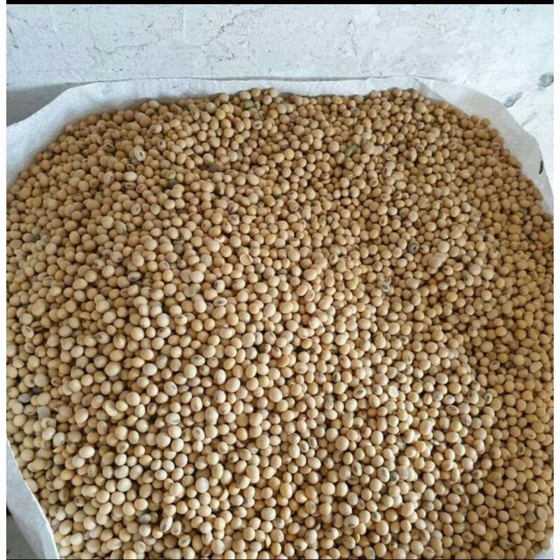 

Kacang Kedelai 1kg