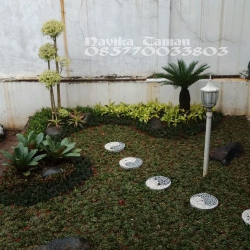 Jual Dekorasi Taman Minimalis - Pembuatan Taman Rumah | Shopee Indonesia