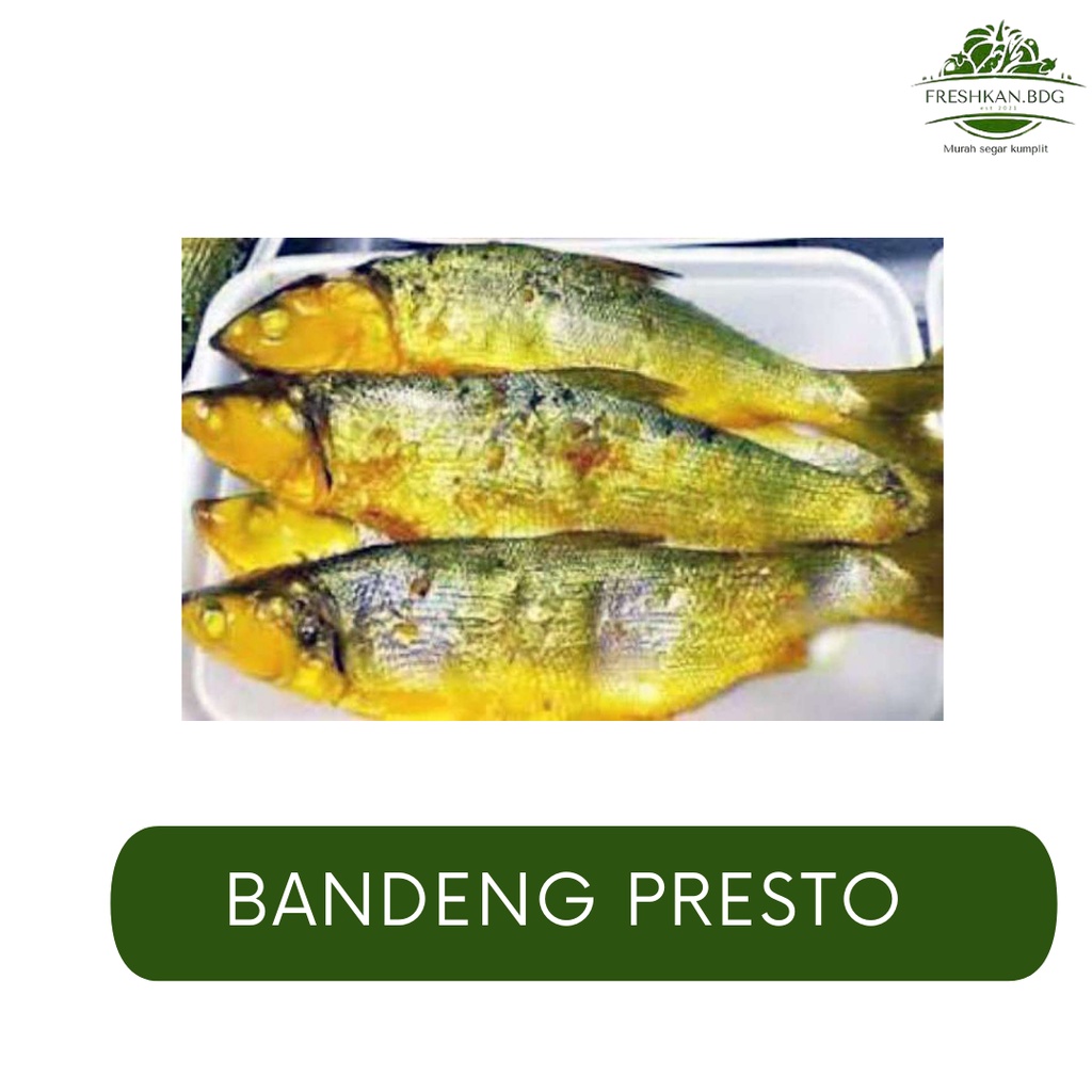 

IKAN BANDENG PRESTO UKURAN BESAR