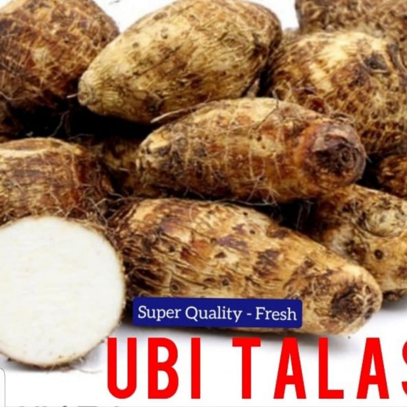 

TALAS SUKABUMI PULEN ( ENAK DI KUKUS ) BISA BANTU KUPAS