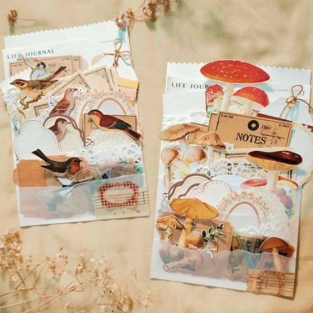 

PREMIUM PAPER BUNDLE—SEELOTIPIN