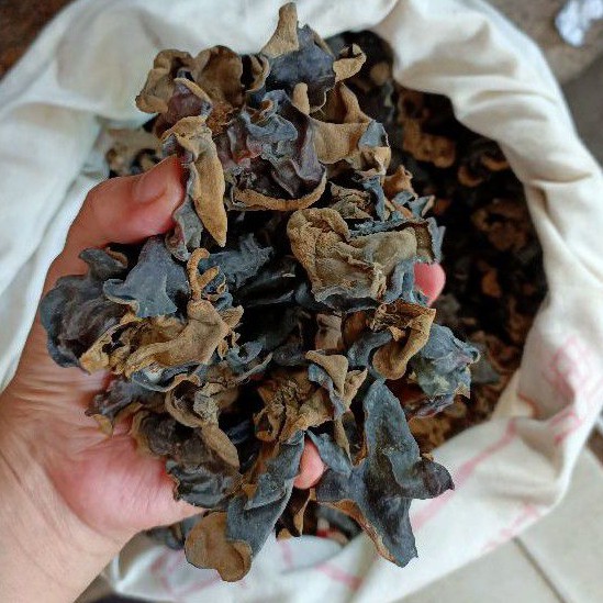 

Jamur Kuping Hitam / Jamur Kuping Import / Dried Black Fungus / Makje / Mukmi / Bokni / Bokji