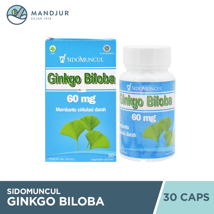 Jual Sido Muncul Ginkgo Biloba 30 Kapsul - Menjaga Daya Ingat ...