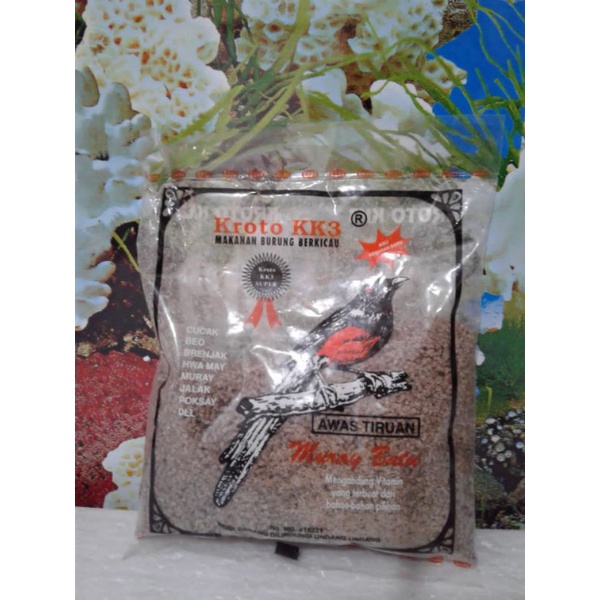 pakan burung kroto kk3