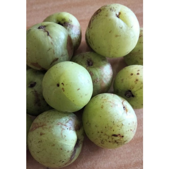 

Buah Malaka fresh paket 300 gram