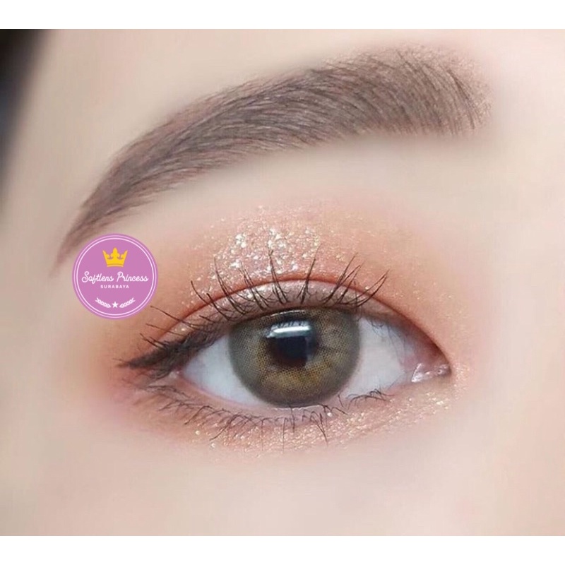 Softlens Arabian Look 14,5mm Normal Minus Lensa Kontak Wedding Wisuda Daily Free Case SW93 Softlens 